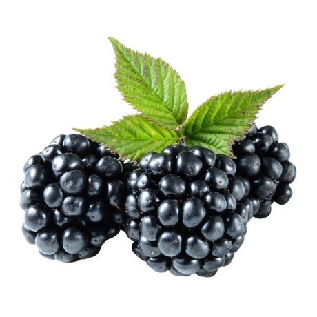 Blackberries - Punnet