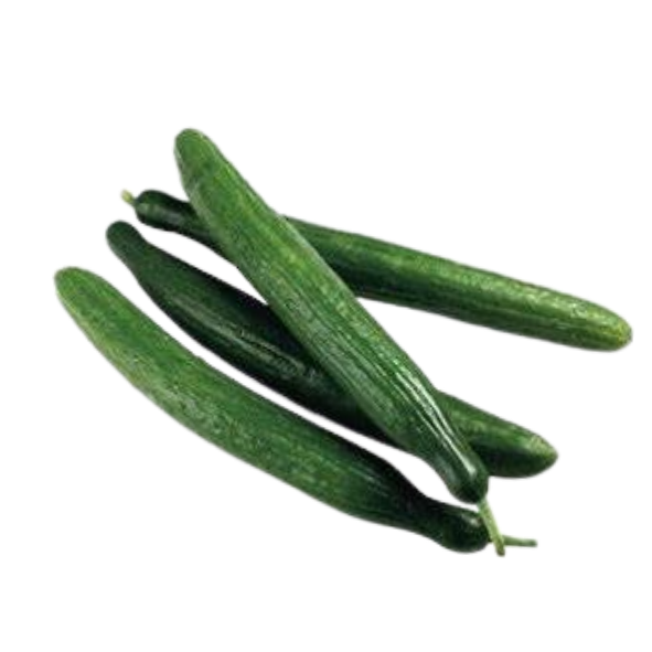 Cucumber - Continental - Each