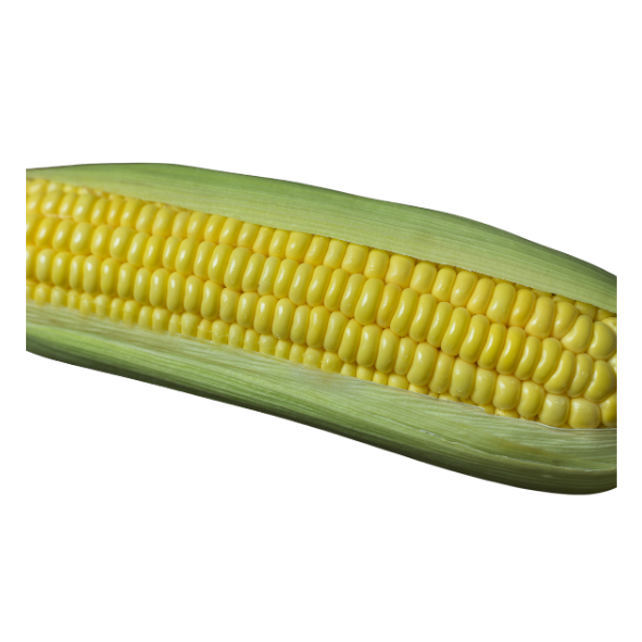 Corn - Sweet - Each