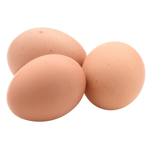 Eggs - Free Range 700g Xlarge - Dozen