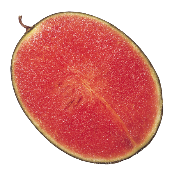 Watermelon Seedless - Each - Min - 10kg