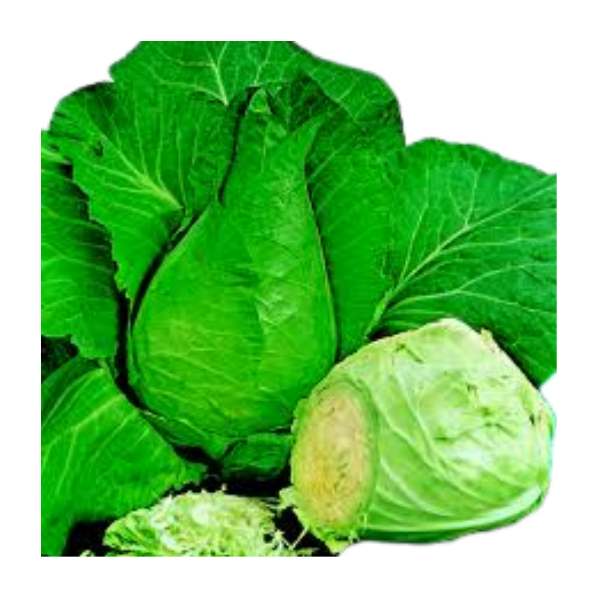 Cabbage - Sugarloaf - Each
