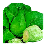 Cabbage - Sugarloaf - Each