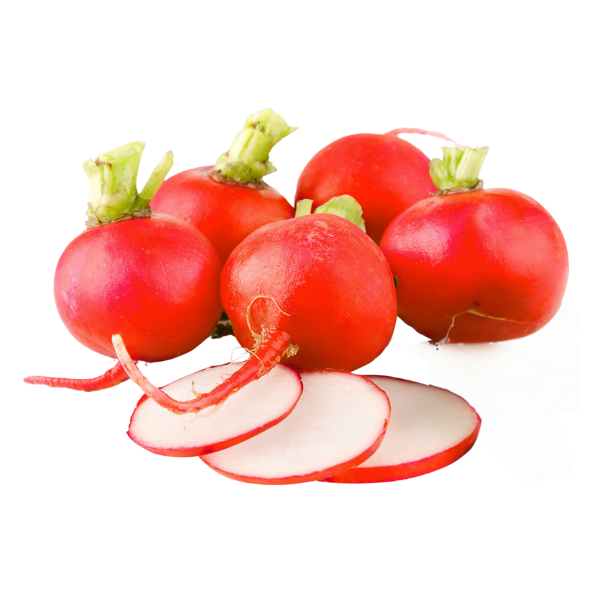 Radish - Packet