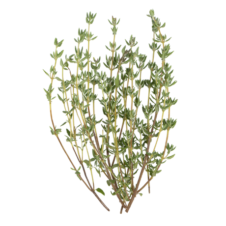 Herb - Thyme - Bunch