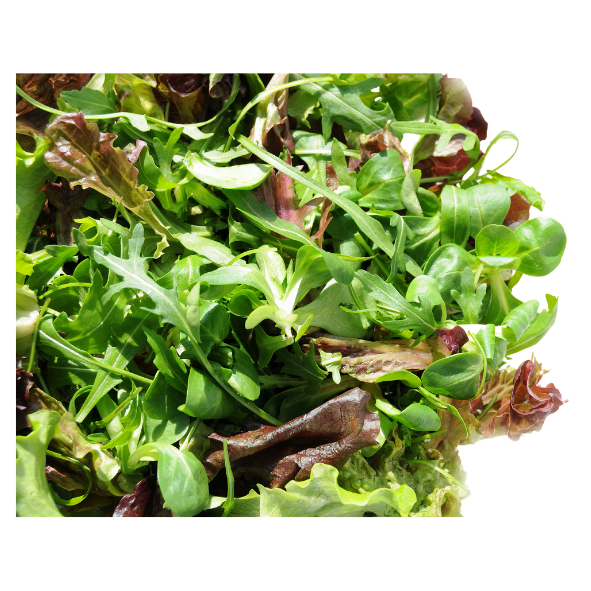 Lettuce - Mesculin Mix - Bag - 500g