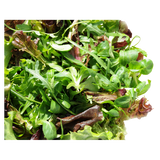 Lettuce - Mesculin Mix - Bag - 500g