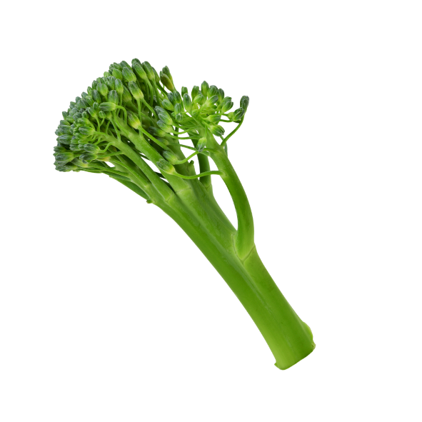 Broccolini - Bunch