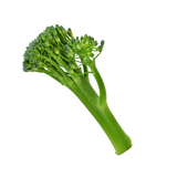Broccolini - Bunch