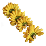 Bananas - Lady Finger - 1kg