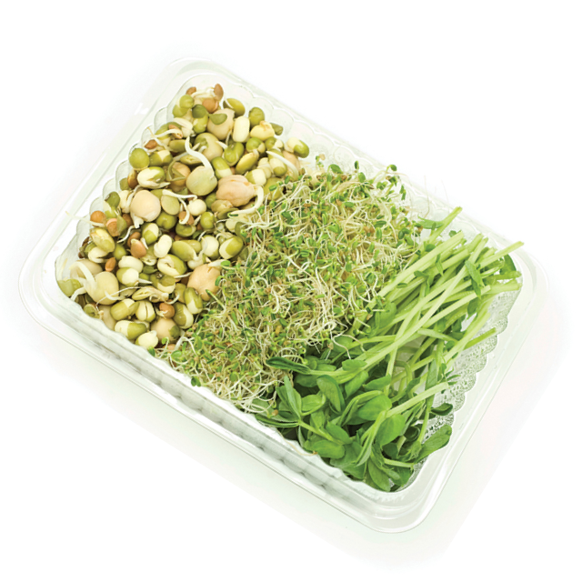 Sprouts - 3 In 1 Combo