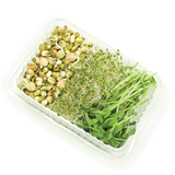 Sprouts - 3 In 1 Combo