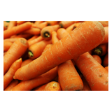 Carrots - Juicing - 10kg
