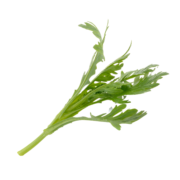 Lettuce - Rocket - Bag - 500g