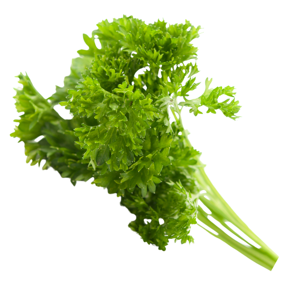 Herb - Parsley - Curly - Bunch