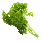 Herb - Parsley - Curly - Bunch