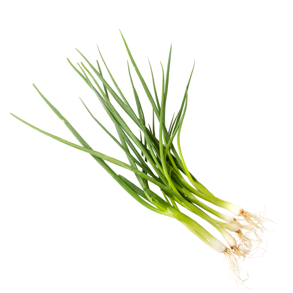 Shallots - Bunch