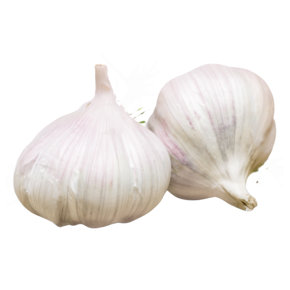 Garlic (Aus) - Bulb - Each