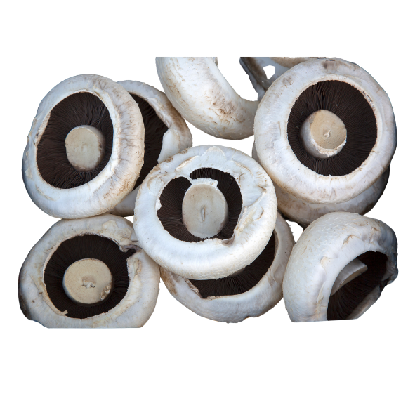 Mushrooms - Field / Flat - Each