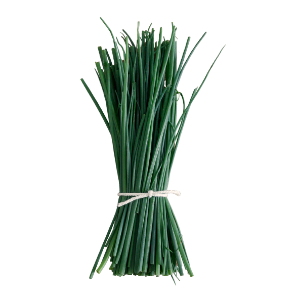 Herbs - Chives Onion - Bunch