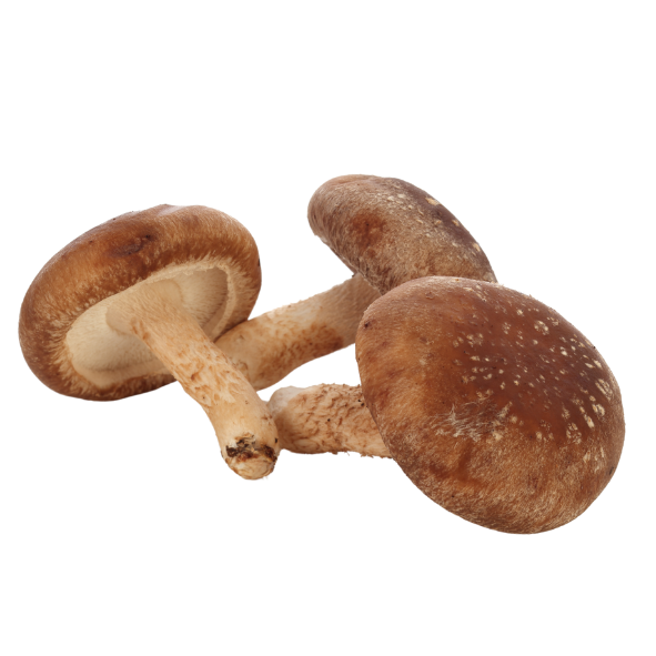 Mushrooms - Shiitake - Punnet - 250g