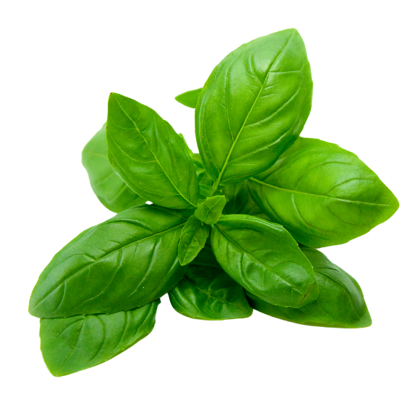 Herb - Basil - Bunch