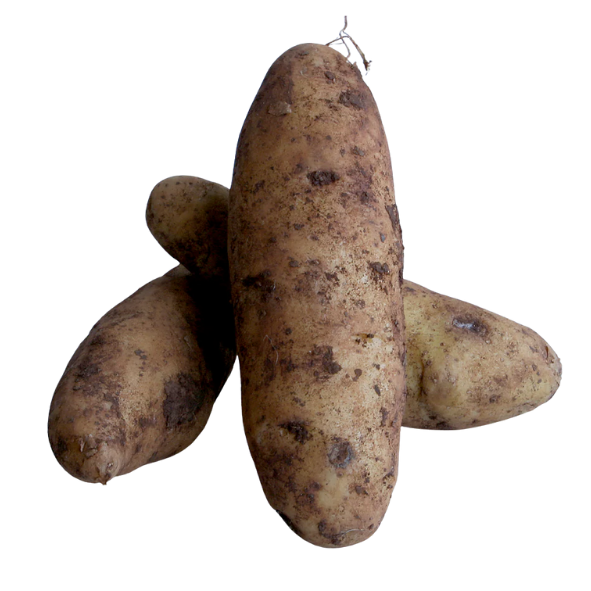 Potatoes - Kipfler - Pre Pack Bag - 1kg