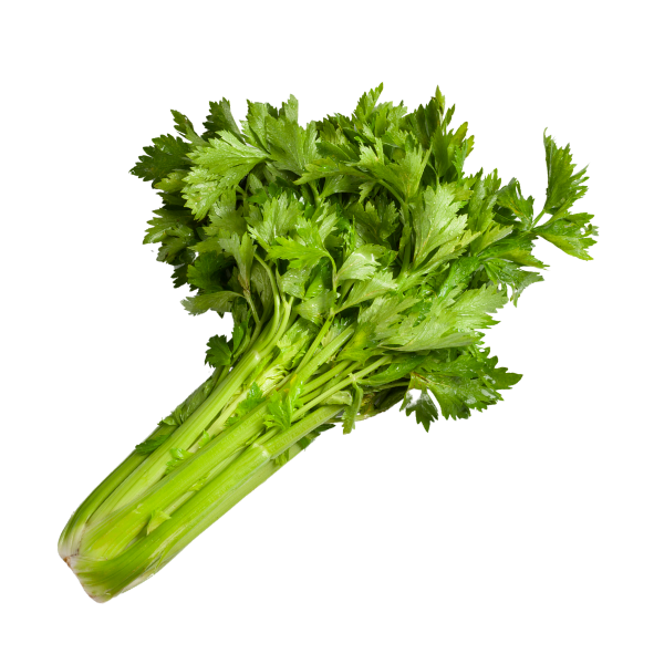 Celery - Bunch