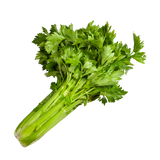 Celery - Bunch