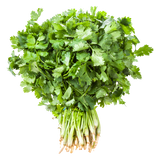 Herb - Coriander - Bunch