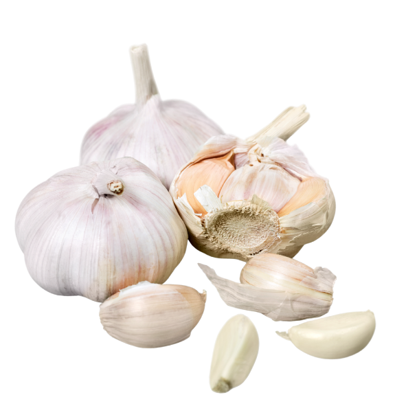 Garlic - Bulb- Each