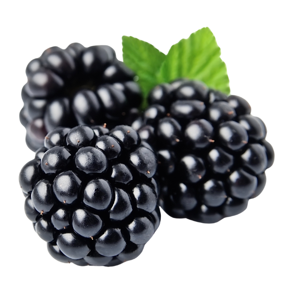 Blackberries - Punnet