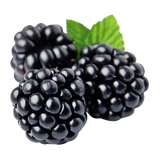 Blackberries - Punnet