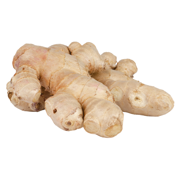 Ginger