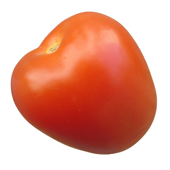Tomatoes - Roma - Each