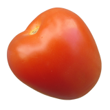 Tomatoes - Roma - Each