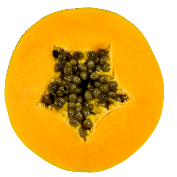 Paw Paw - Yellow - Each