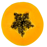 Paw Paw - Yellow - Each