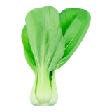 Bok Choy - Bunch