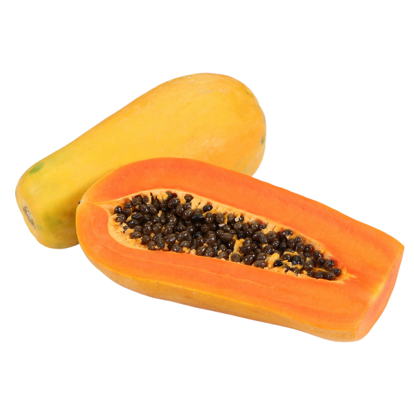 Paw Paw - Red - Each
