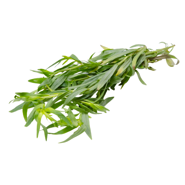 Herb - Tarragon - Bunch
