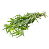 Herb - Tarragon - Bunch