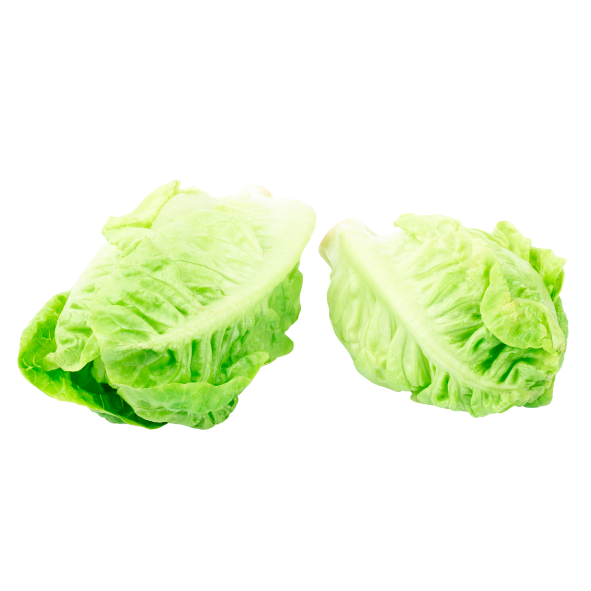 Lettuce - Baby Cos (Twin Pack) - Each