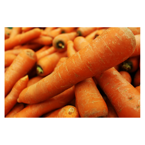 Carrots - Juicing - Bag - 20kg