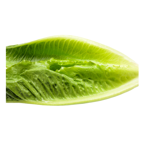 Lettuce - Cos - Each