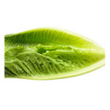 Lettuce - Cos - Each