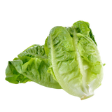 Lettuce - Baby Cos (Twin Pack) - Each