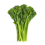 Broccolini - Bunch