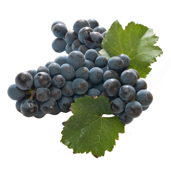 Grapes - Black Seeded - 1kg