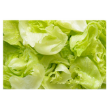 Lettuce - Iceberg - Each